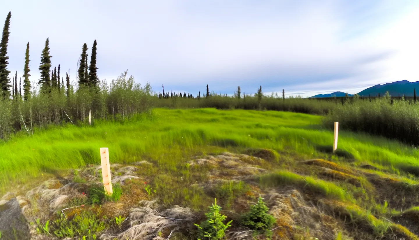 Vacant land parcel in Alaska