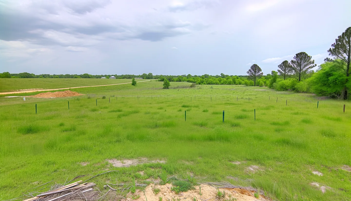 Vacant land parcel in Louisiana