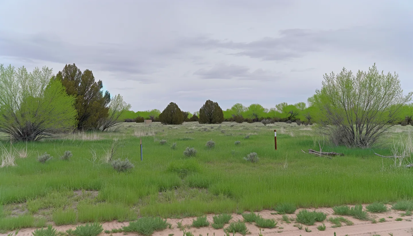 Vacant land parcel in Luna County